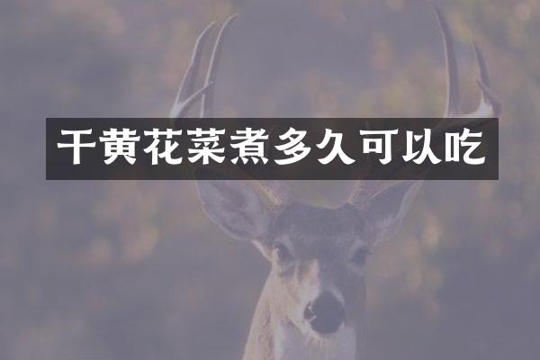 干黄花菜煮多久可以吃