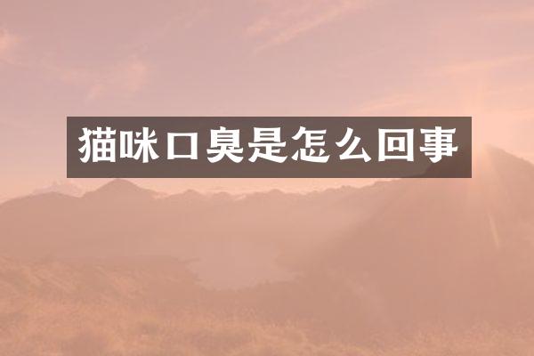猫咪口臭是怎么回事