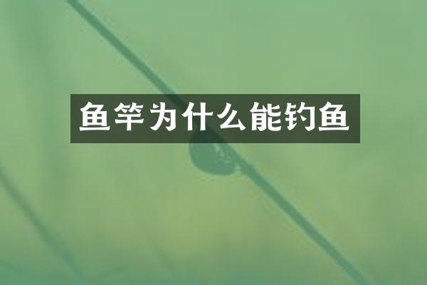 鱼竿为什么能钓鱼