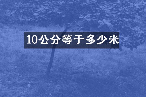 10公分等于多少米