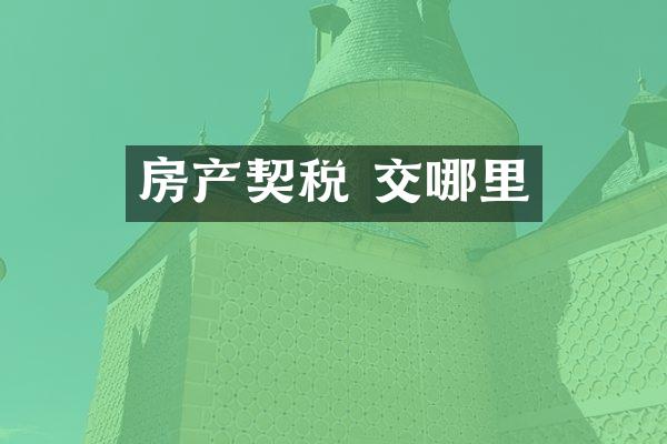 房产契税 交哪里