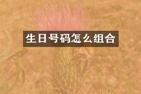 生日号码怎么组合