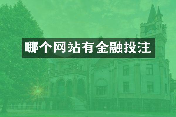 哪个网站有金融投注