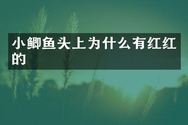 小鲫鱼头上为什么有红红的