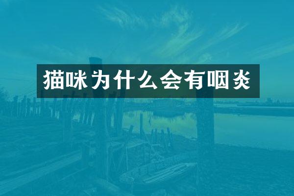 猫咪为什么会有咽炎