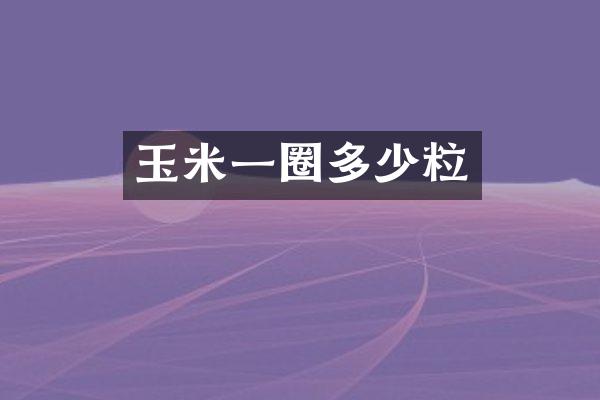 玉米一圈多少粒