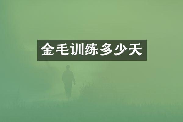 金毛训练多少天