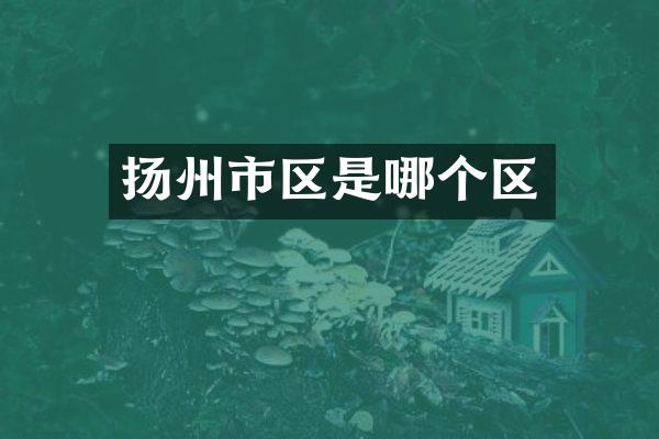 扬州市区是哪个区