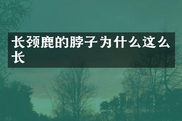 长颈鹿的脖子为什么这么长