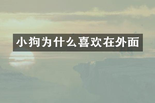 小狗为什么喜欢在外面