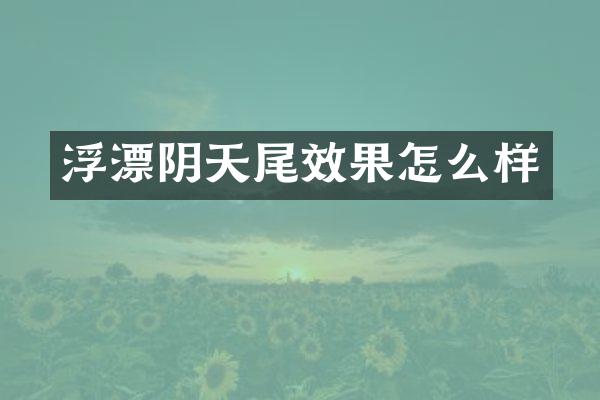 浮漂阴天尾效果怎么样