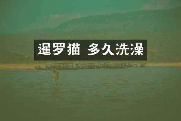 暹罗猫 多久洗澡
