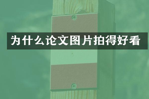 为什么论文图片拍得好看