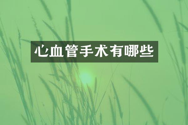 心血管手术有哪些