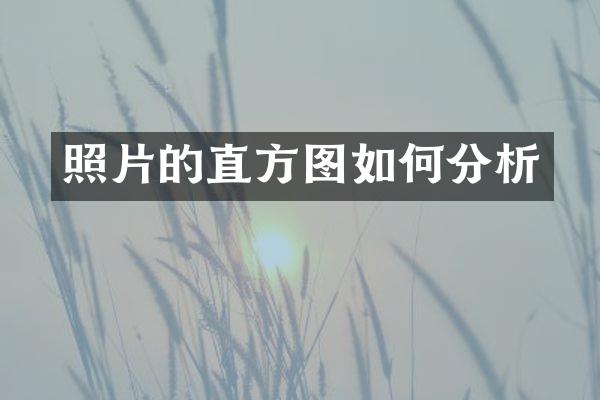照片的直方图如何分析