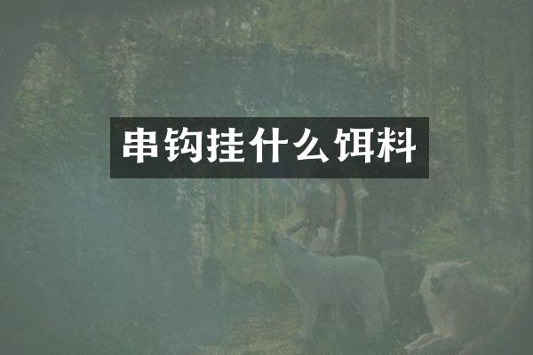 串钩挂什么饵料