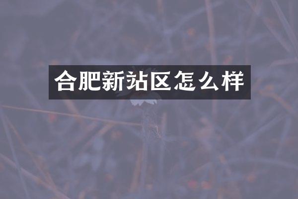 合肥新站区怎么样