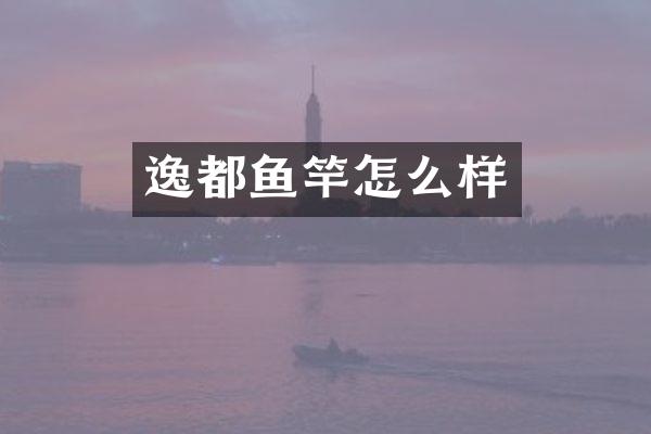 逸都鱼竿怎么样