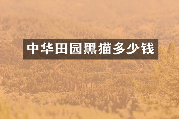 中华田园黑猫多少钱