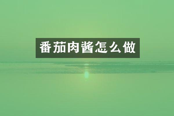 番茄肉酱怎么做