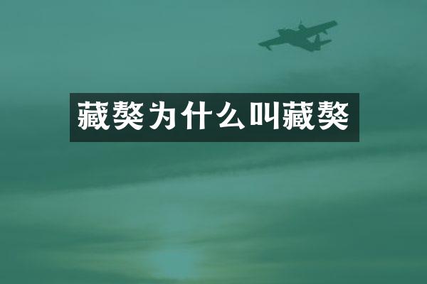 藏獒为什么叫藏獒