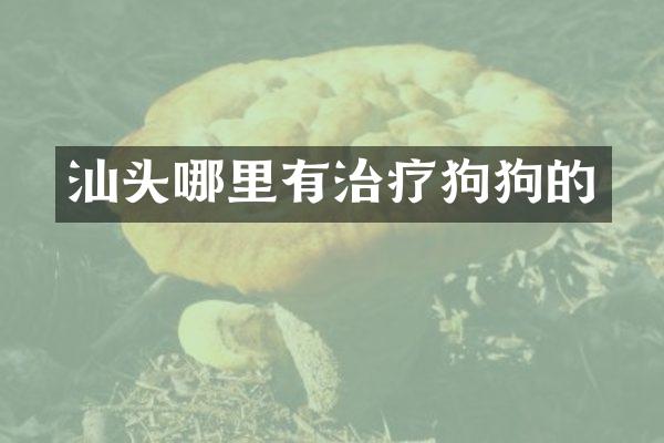 汕头哪里有治疗狗狗的