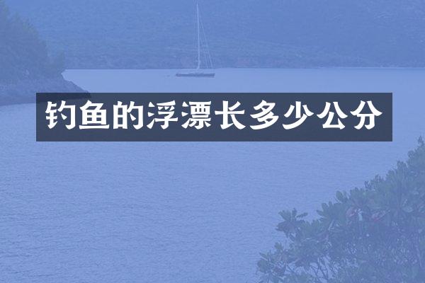 钓鱼的浮漂长多少公分