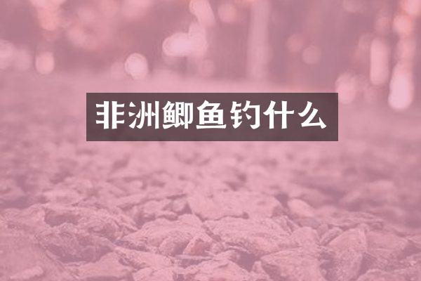 非洲鲫鱼钓什么