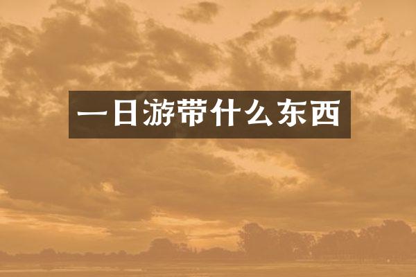 一日游带什么东西