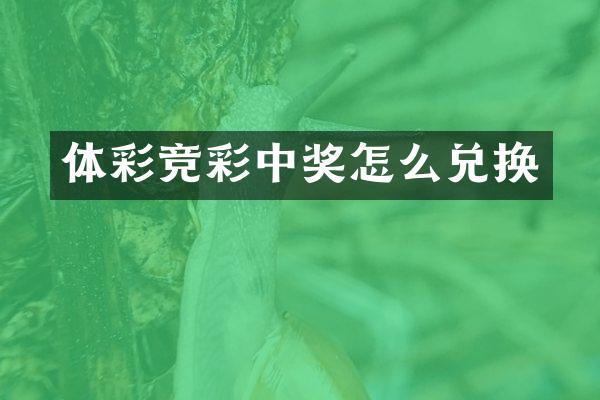 体彩竞彩中奖怎么兑换