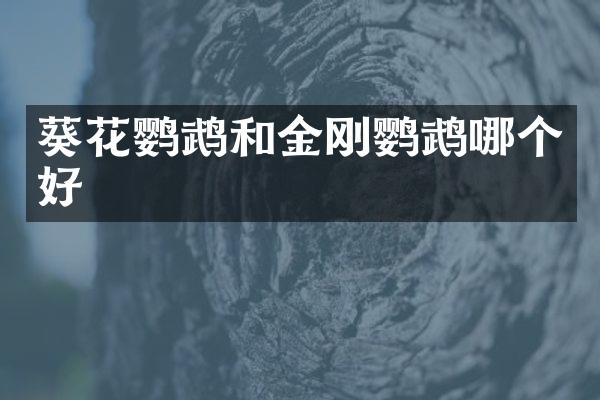 葵花鹦鹉和金刚鹦鹉哪个好