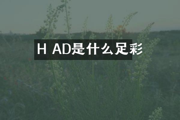 H AD是什么足彩