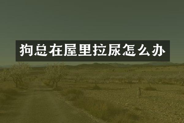 狗总在屋里拉尿怎么办