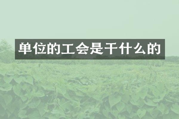 单位的工会是干什么的