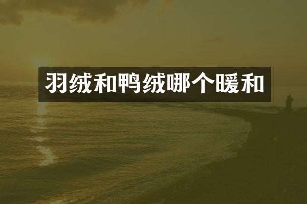 羽绒和鸭绒哪个暖和