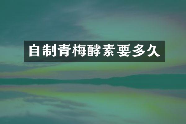 自制青梅酵素要多久