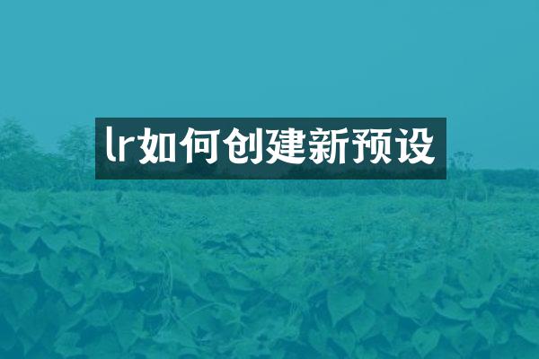 lr如何创建新预设