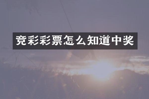 竞彩彩票怎么知道中奖