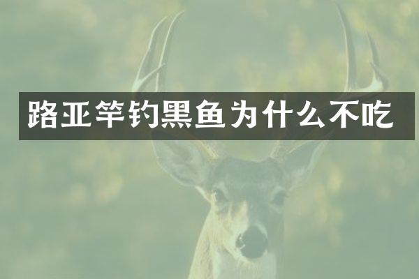 路亚竿钓黑鱼为什么不吃