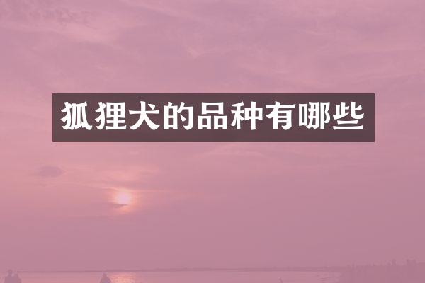 狐狸犬的品种有哪些