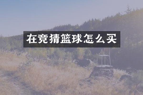 在竞猜篮球怎么买