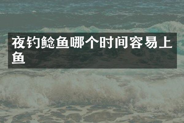 夜钓鲶鱼哪个时间容易上鱼