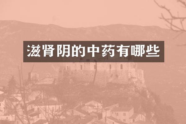 滋肾阴的中药有哪些