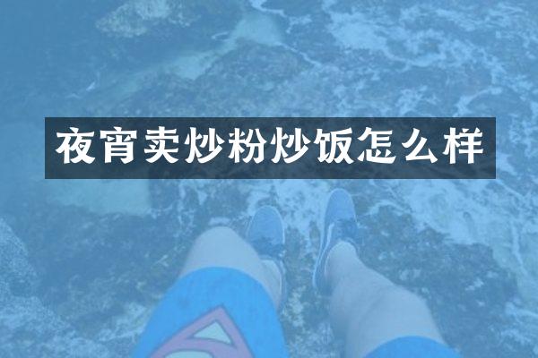 夜宵卖炒粉炒饭怎么样