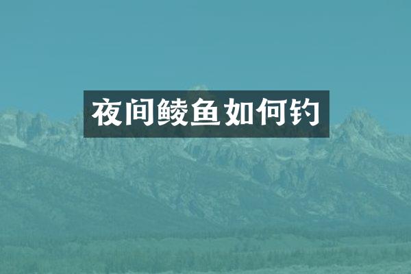 夜间鲮鱼如何钓