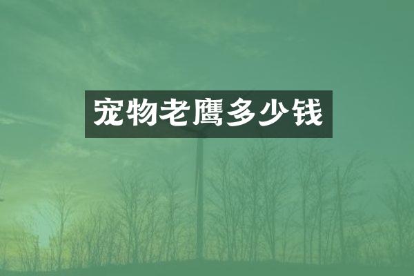 宠物老鹰多少钱