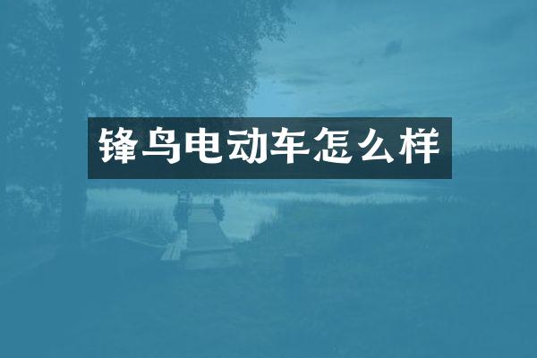 锋鸟电动车怎么样