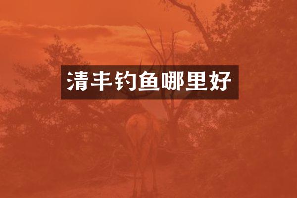 清丰钓鱼哪里好