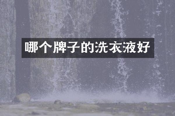 哪个牌子的洗衣液好