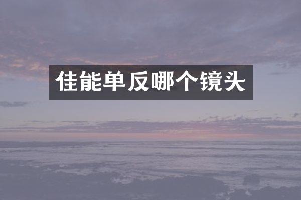 佳能单反哪个镜头